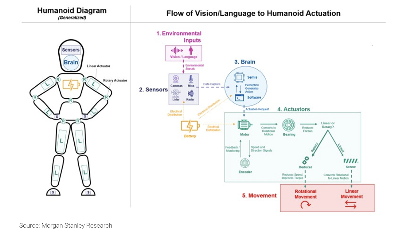 Humanoids